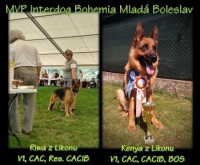 kenya-mvp-mlada-boleslav-2023-v1-cac--cacib--bos.jpg