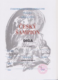cesky-sampion-diga-z-likonu-001.jpg